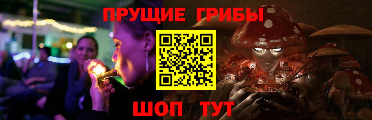 Псилоцибиновые грибы ЛСД  Галлюциногенные грибы Magic Shrooms  Вход с VPN  Горячий Ключ 