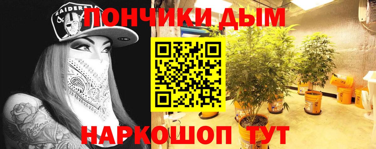Бошки Шишки план Горячий Ключ